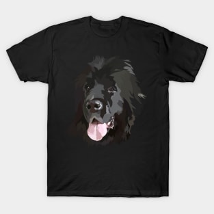 Newfoundland Doodle T-Shirt